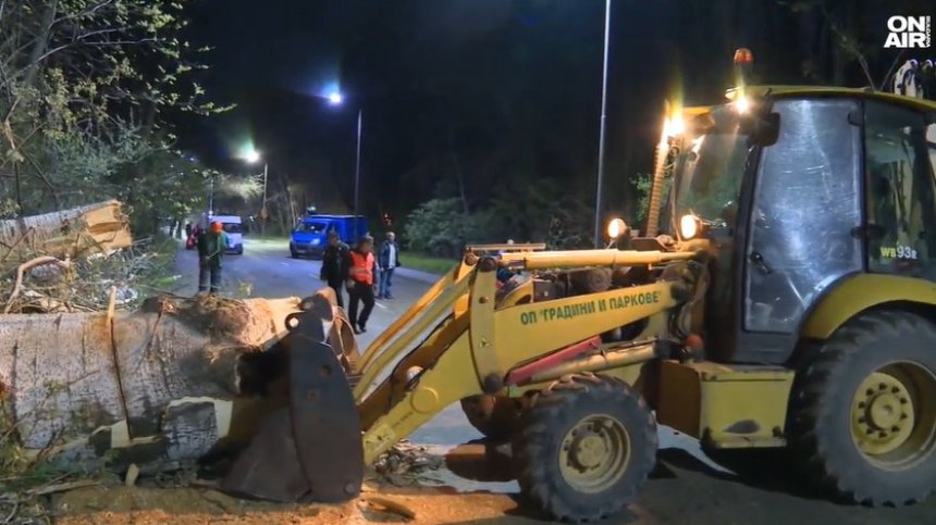 Дървета паднаха върху кола в Пловдив (+ВИДЕО)