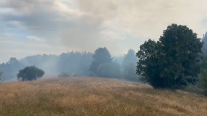 Община Чепеларе с информация за доброволците, искащи да се включат в гасенето на пожара