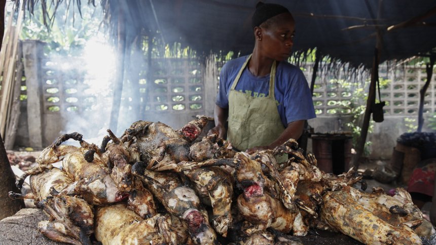 Ето защо избухването на следващата пандемия е само въпрос на време