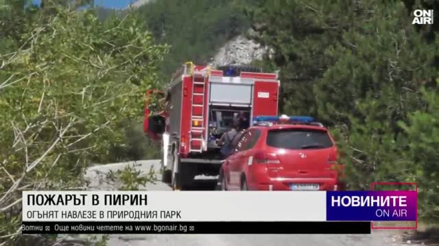 Късна емисия