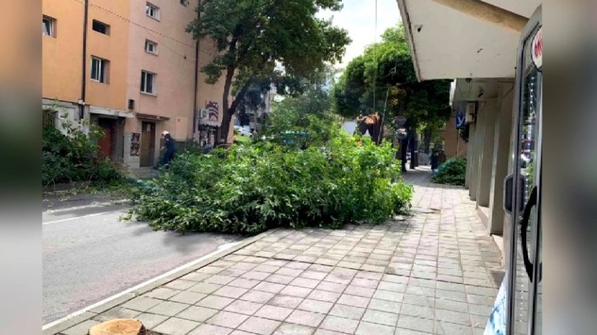 Част от козирката на кооперативния пазар в Благоевград падна заради вятъра (видео)