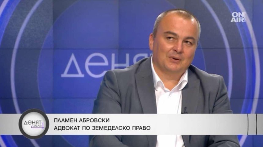 Предложение: Умишлените пожари да се преследват като убийство