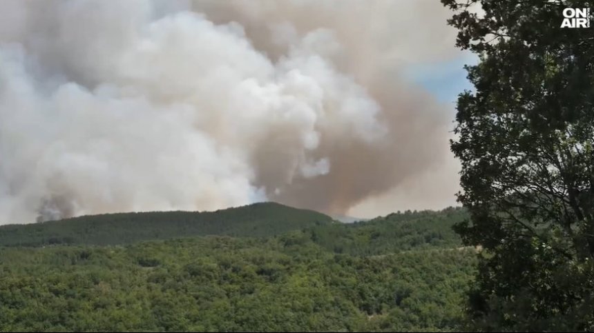 Пожарът в Малешевска планина се разраства и налага крайни действия