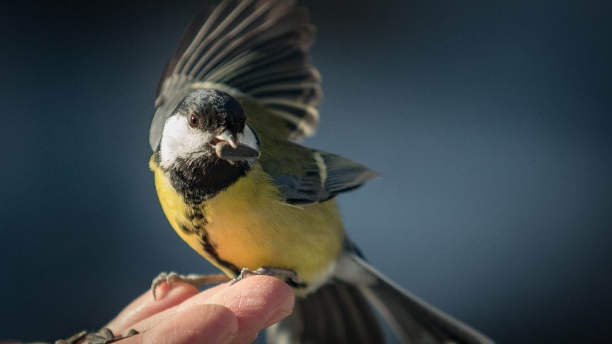 Времето в събота: Облаци, вятър и хладен въздух