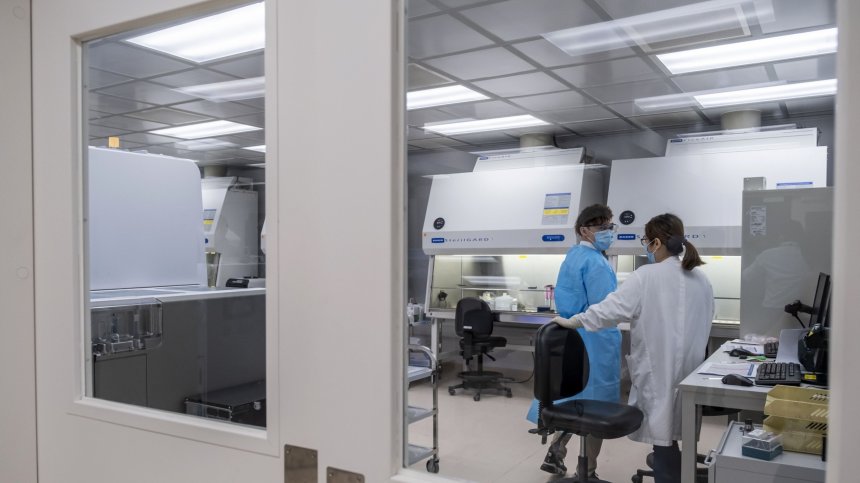 Китайски учени с интересно проучване за лечението на затлъстяването