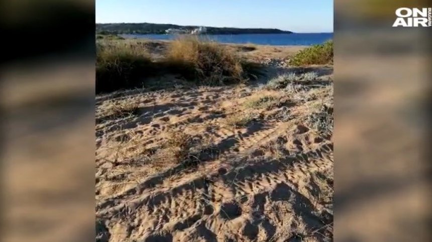 АТВ-та вилнеят по плажовете, унищожават дюните в защитени местности