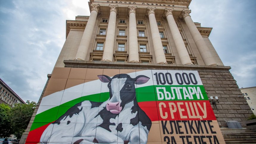 "Плач, който никой не чува": Актьори, музиканти, спортисти, инфлуенсъри защитават телетата
