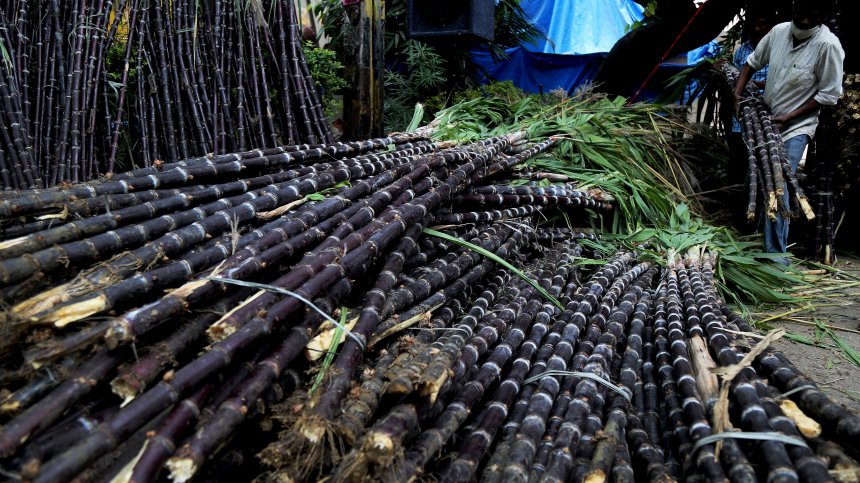 Индия може да ограничи износа на захар, светът става все по-зависим от нея