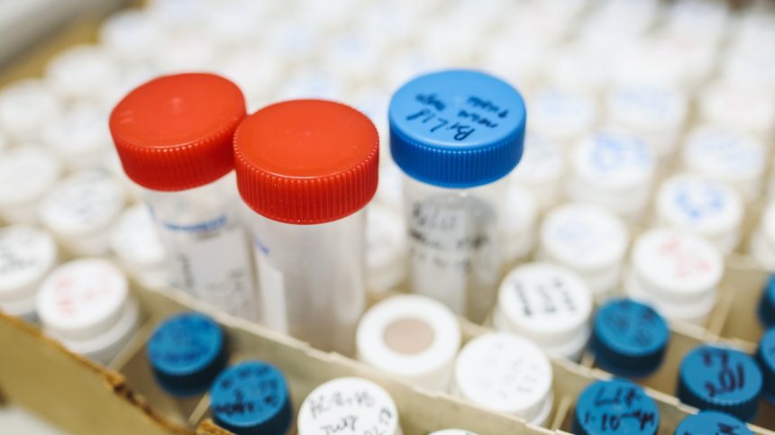 Нови 10 души са с положителни проби за Ковид-19 в Самоков