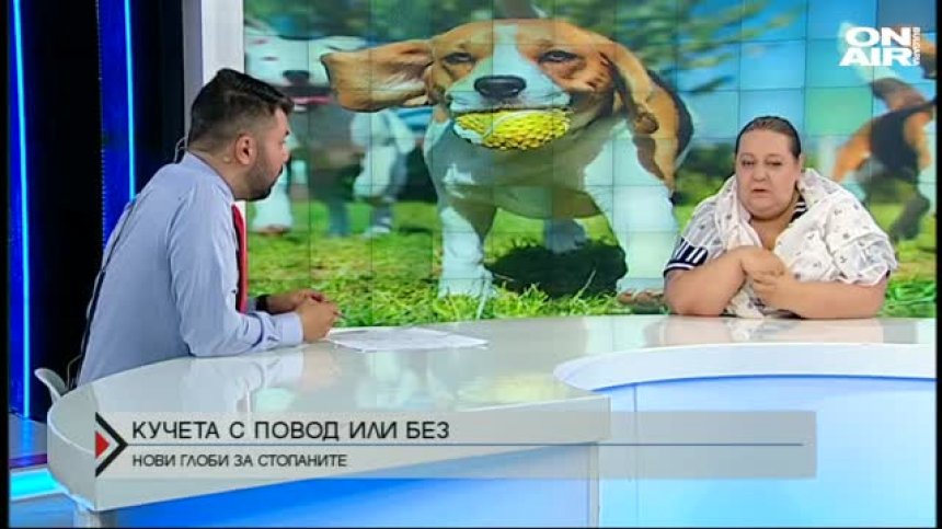 Намордникът е опасен за кучетата