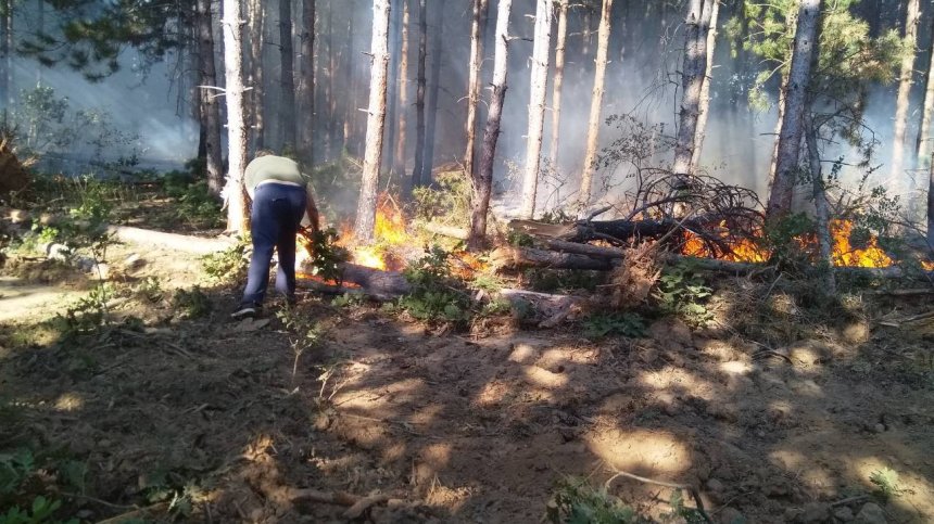 Заради жегата и вятъра: Пожарът над село Виден пламна отново