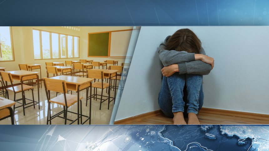 23-годишна нападна 4 деца в училище в Бенковски