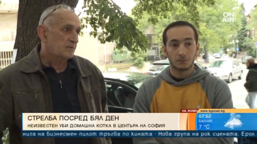 Жестокост: Неизвестен стреля по домашни любимци в центъра на София