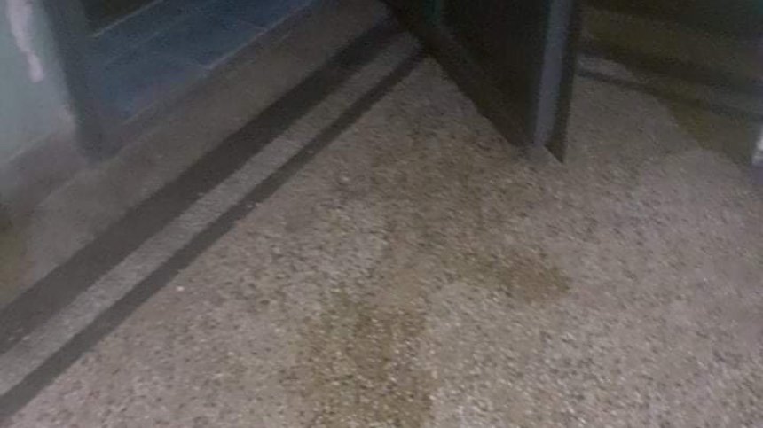 От Варна: Агресивно куче задоволява нуждите си в блока и тормози живущите