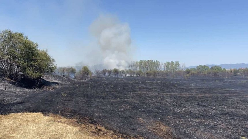 Пламна пожар на метри от къщите в софийското село Гара Елин Пелин (ВИДЕО+СНИМКИ)