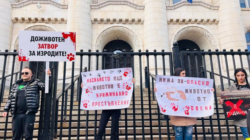 Продължават протестите с искане за доживотен затвор за насилниците на животни