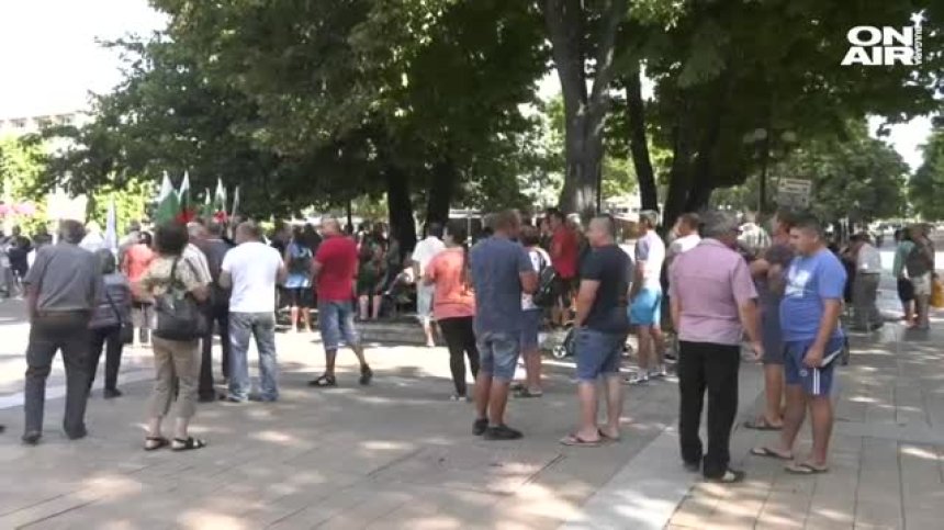 Откриха мъртво диво прасе край Чипровци, съмненията са за африканска чума