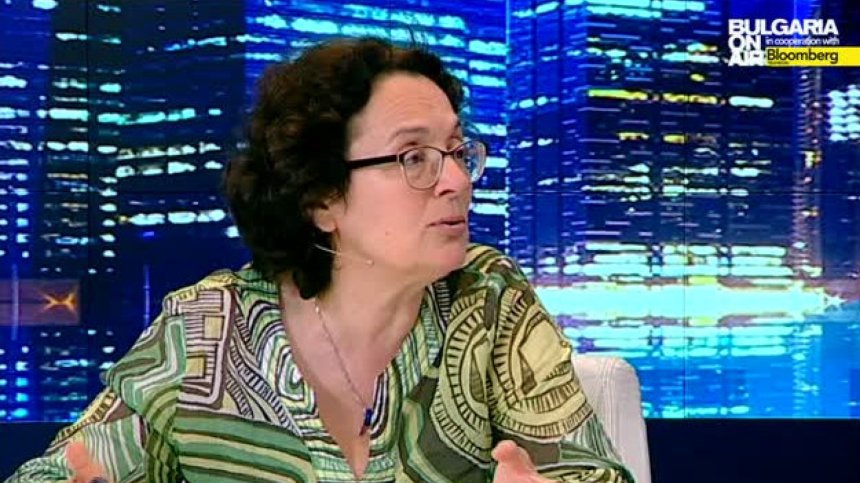 Р. Коларова: Преди оставката, няма смисъл да се спекулира