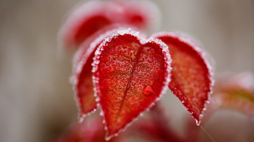 Синоптици за септември: Температури от -5,6 до 37°C, воден смерч, наводнения, сняг