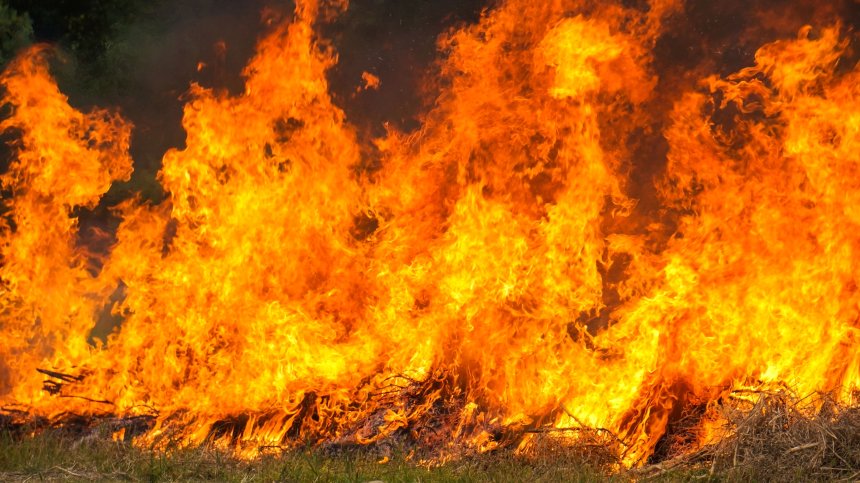 Пожар погълна 19 къщи, кравеферма и старо училище в Монтанско