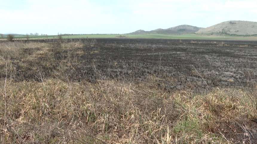 Щетите от пожара в защитената зона "Алдомировско блато" са сериозни