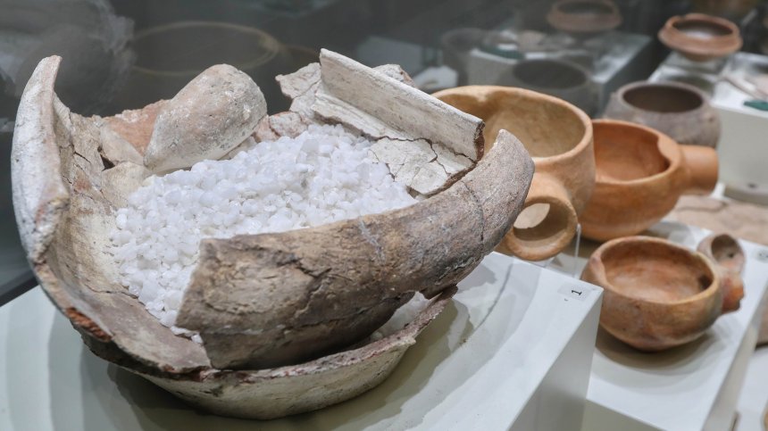 Изложба показва "Повелителите на солта Провадия - Солницата 5600 – 4350 г. пр. Хр."