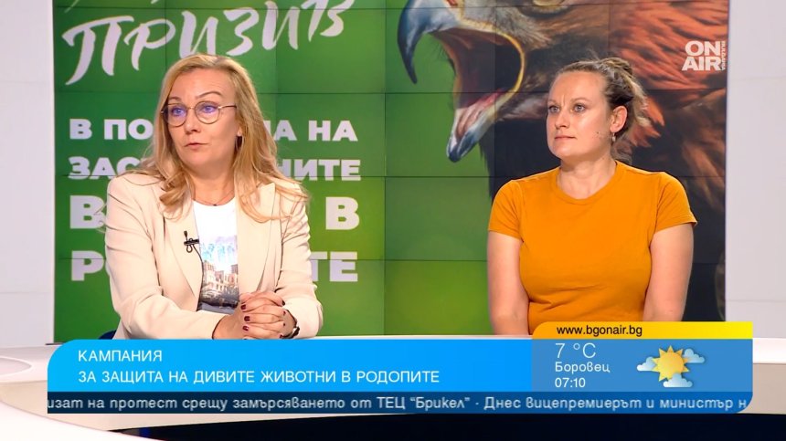 Албум със звуци от природата помага за опазването на Източните Родопи