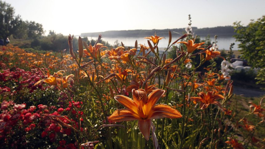 Горещ четвъртък с температури до 35°C, от петък - хладна вълна и валежи