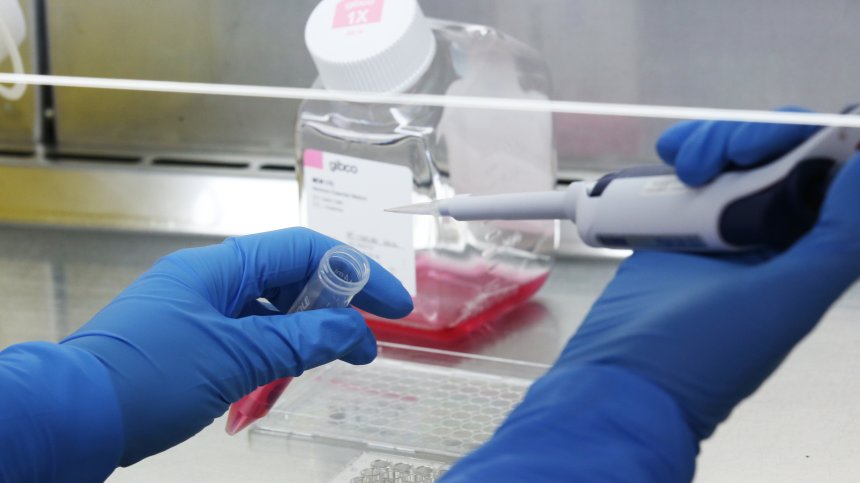 Китайски учени разработиха материал, абсорбиращ коронавируса