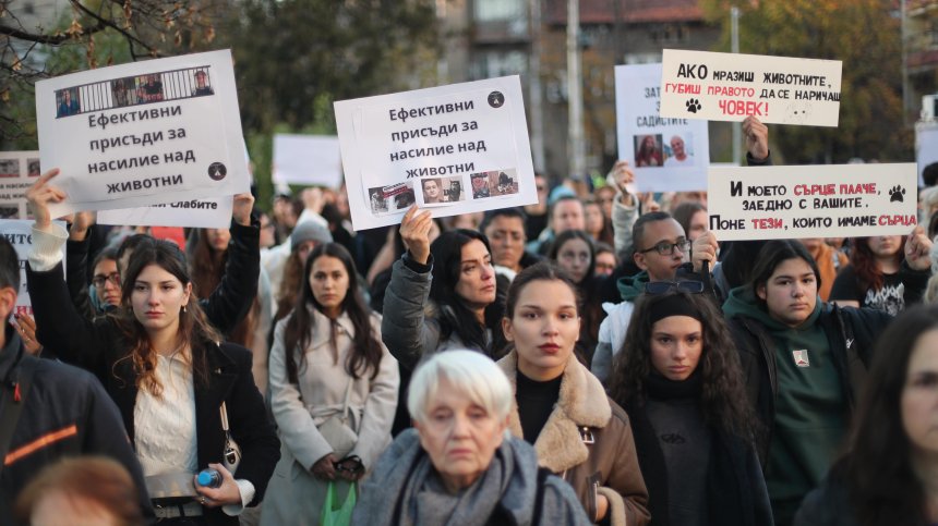 "Справедливост за Мая": Протести заради убийството на кучето от Ненад Цоневски