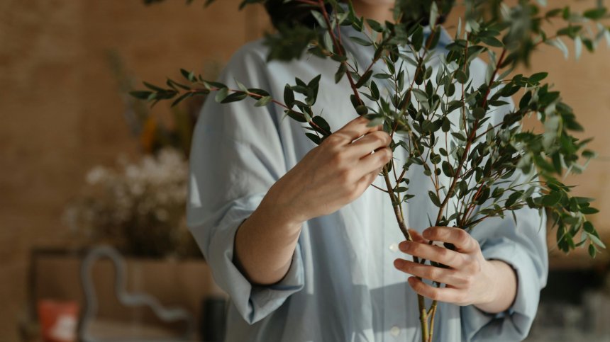 Как се прави мълчана вода на Еньовден и защо е важно да наберем свежи билки?