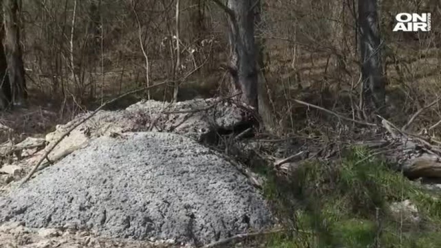 Съставиха акт на фирмата, изляла тонове бетон върху дървета край "Хемус"