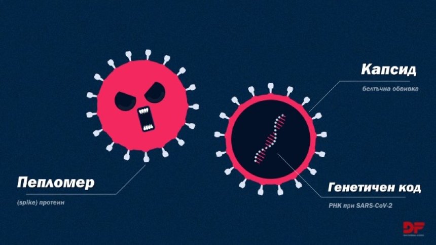 Филмче разяснява как работят ваксините и защо е важно да се ваксинираме