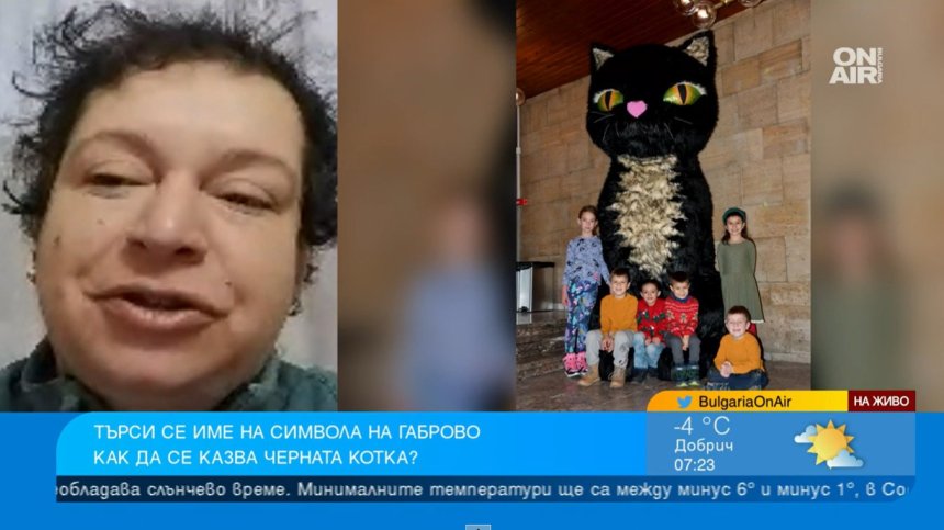 Габрово търси име на пухкаво коте в Музея на хумора и сатирата