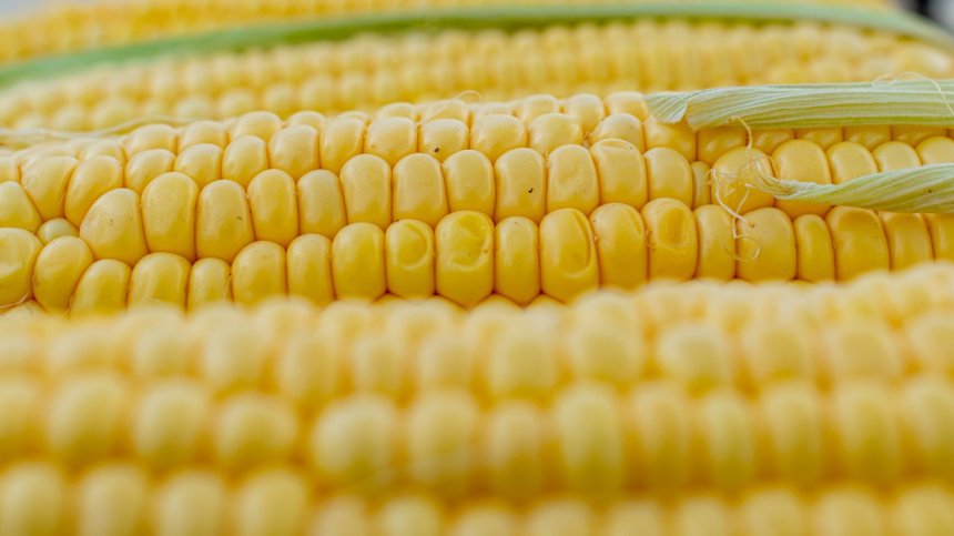 С кои зеленчуци трябва да внимаваме при хранене?