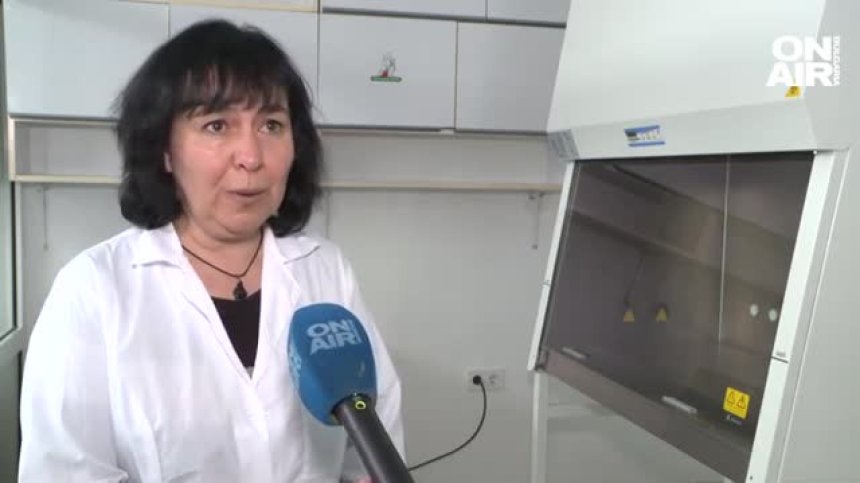 Проф. Петрова: До 1-2 седмици влизаме в пика на петата Ковид вълна