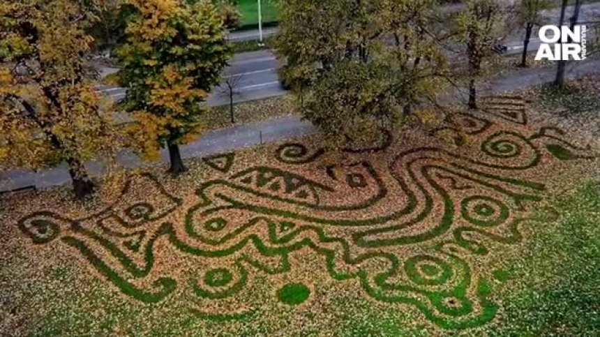 Хърватски художник припомни колко красива е есента с рисунка от паднали листа