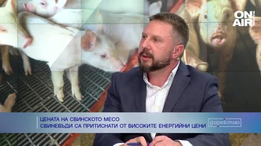 Без промяна в цената на свинското, свиневъди обаче очакват фалити