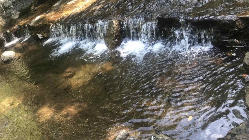 Измряла риба в реките Разметаница и Джерман, изследват водата в тях