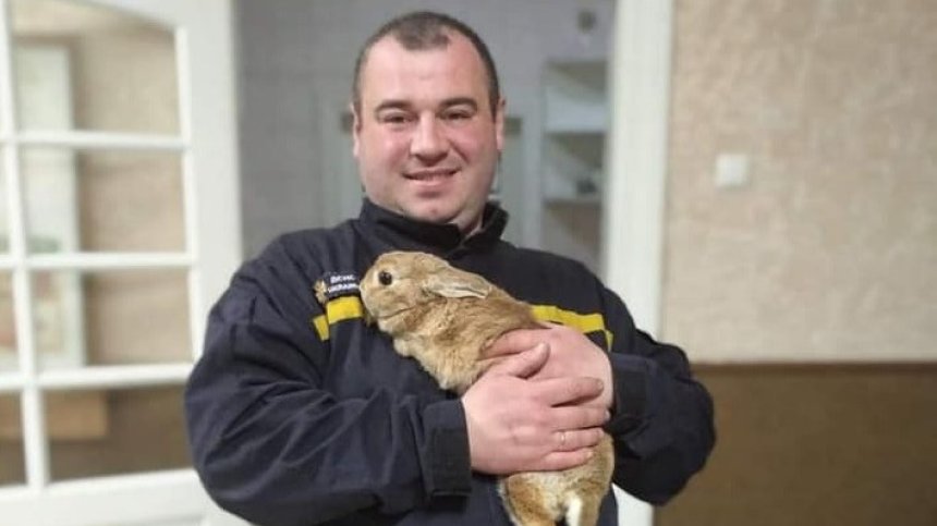 Човечност по време на война - пожарникари спасиха заек от бомбардиран блок в Харков (+СНИМКИ)