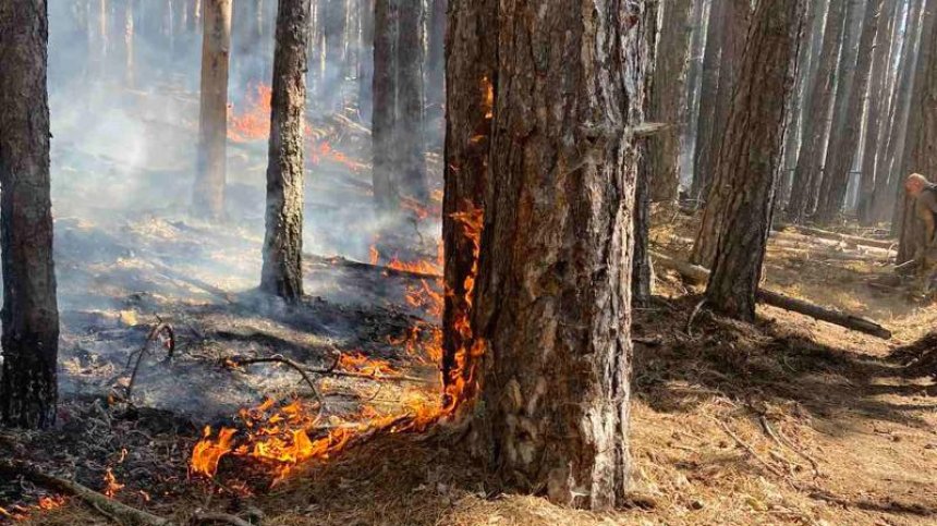 Продължава гасенето на големия горски пожар над Югово