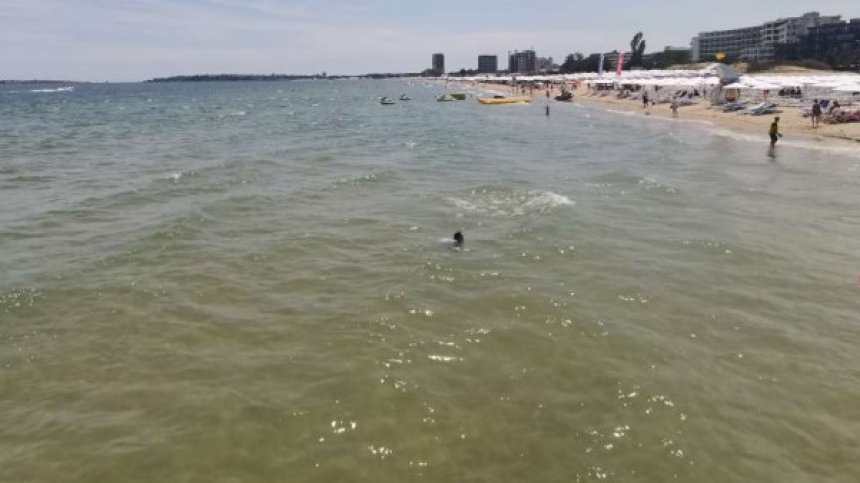Екоминистърът: Плувах цял час в Черно море, жив съм, водата е чиста