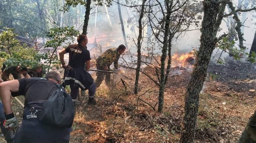 Нови 4 пожара пламнаха в Хасковско, запалили са се сухи треви