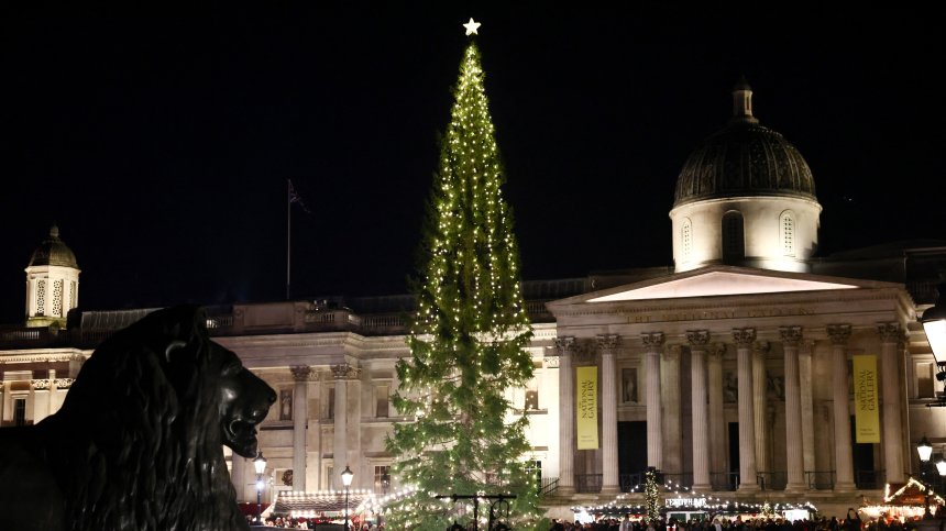 Коледното дърво от Норвегия грейна на "Трафалгар" в Лондон