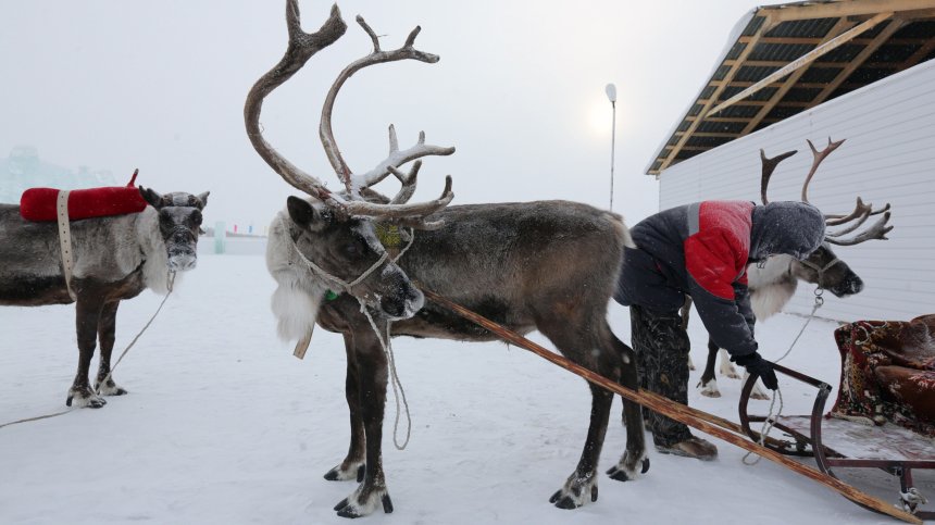 Рекордни жеги в най-студения регион в Сибир