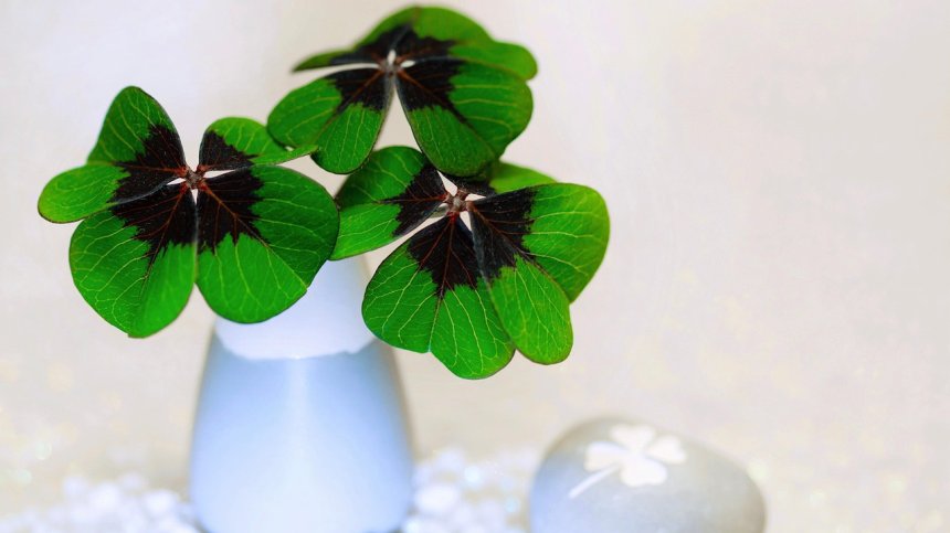 Как да премахнем негативната енергия в живота ни