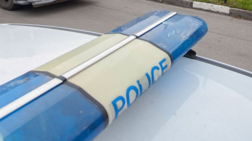 Арестуваха мъж, стрелял с въздушна пушка по куче в Пазарджишко