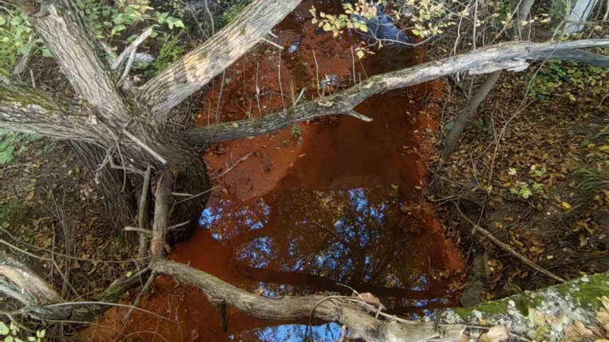 РИОСВ: Водите на Струма са бистри и няма отклонения в показателите