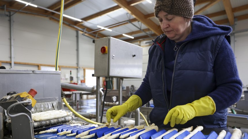 Украинците трудно намират работа в Германия, някои дори и не търсят