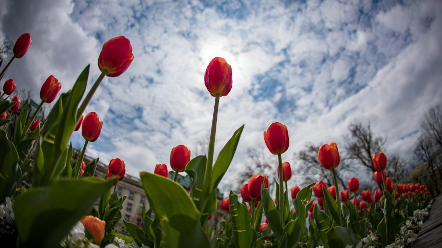 Топла и слънчева неделя, вадете късия ръкав